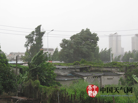 臺風(fēng)彩虹登陸湛江