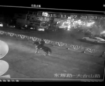 溫嶺市區(qū)一男子騎黑馬逆行被寶馬車撞飛 溫嶺不是溫州