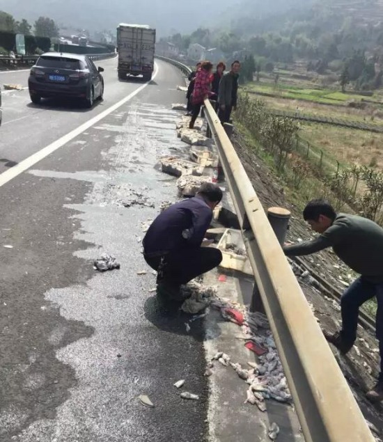 樂(lè)清高速車(chē)禍