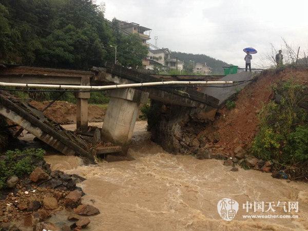 雷雨大風(fēng)襲浙江南部500年古樹折斷 未來5天全省多雨