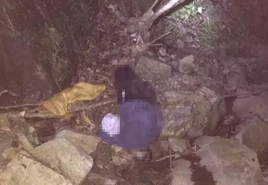 青田一對(duì)夫妻上山采草藥墜崖身亡