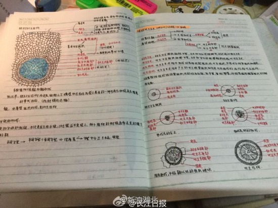 美女繪本筆記走紅
