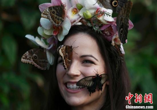 美女戴花環(huán)引蝴蝶