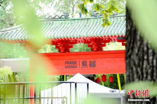 大熊貓住千萬(wàn)豪宅