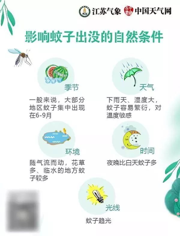 首份蚊子預警地圖