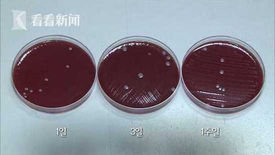 怕垃圾發(fā)臭塞冰箱