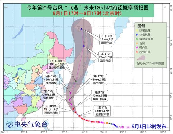 超級臺風(fēng)飛燕