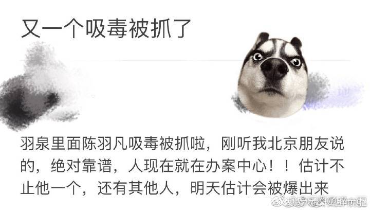 網友爆料陳羽凡疑吸毒被抓