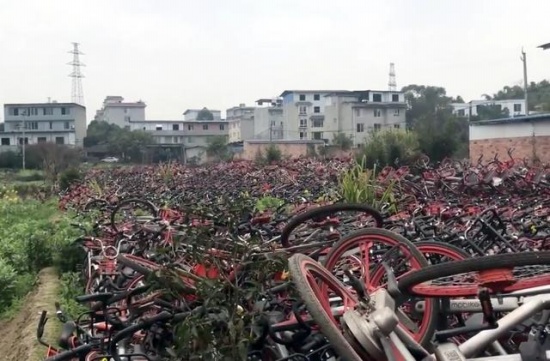 共享單車堆滿農(nóng)田