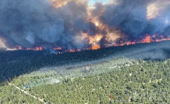 加拿大森林火災(zāi) 15小時(shí)內(nèi)火云引發(fā)710117次雷擊引發(fā)火災(zāi)