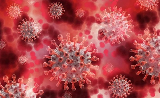 科學家確定Covid感染后治療：病毒學家正在繼續使用各種方法開發改進的抑制劑。