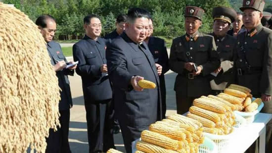 金正恩承認朝鮮嚴重缺糧